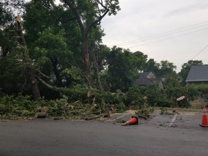 A small piece of the wind damage